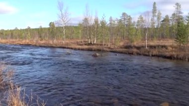 Inari, Finlandiya 'da Fin Laponya' daki Kuzey Kutbu tundralarından küçük bir nehir akar.. 