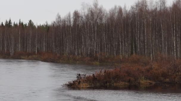 Inari Finlandiya Sonbahardaki Inari Gölü Manzarası — Stok video