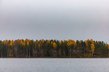 Rovaniemi, Finlandiya 10 Ekim 2023 Finlandiya 'da bir gölün yanındaki ağaçlara sonbahar renkleri.
