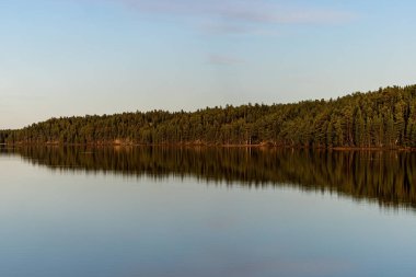 Utsjoki, Finlandiya Küçük bir gölün ormanlık kıyı şeridi ve yansıması.