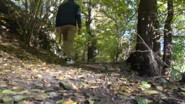 Stockholm, İsveç Vinterviken Parkı 'nda güneşli bir sonbahar gününde bir adam ormanda yürüyor..  
