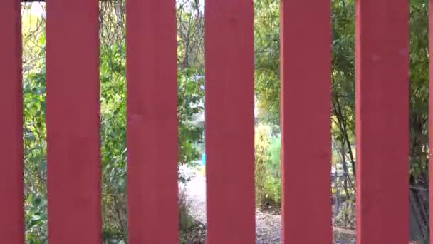 Sztokholm Szwecja Typowy Biały Czerwony Drewniany Płot Wokół Ogrodu Publicznego — Wideo stockowe