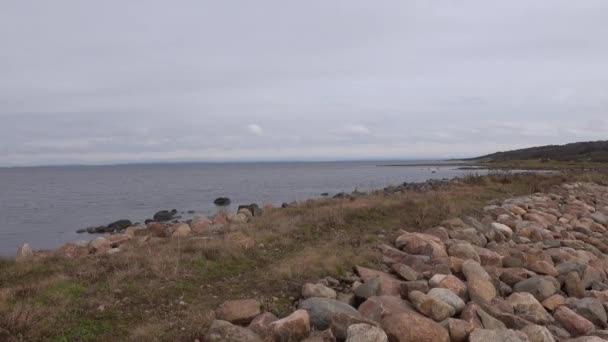 Norrebro Hamn Suécia Vista Para Mar Kattegat Pequeno Porto Pesca — Vídeo de Stock