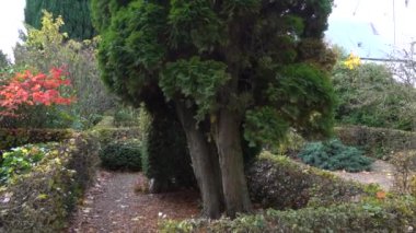 Bjert, Danimarka Sonbaharda Soender Bjert Kirke mezarlığının manzarası. 