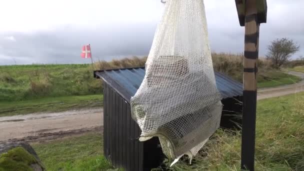 Tornby Dinamarca Leña Picada Para Venta Cuelga Una Bolsa Puesto — Vídeo de stock