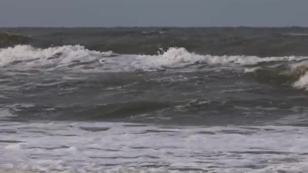トルビーストランド デンマーク 北海とスカイラックの海岸風の日 — ストック動画