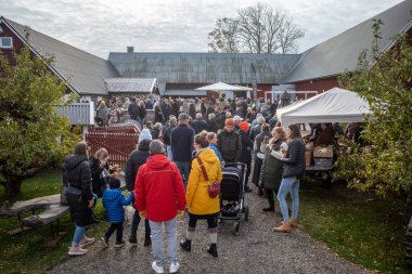 Piç kurusu, İsveç 29 Ekim 2023 Yıllık sonbahar pazarı..