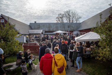 Piç kurusu, İsveç 29 Ekim 2023 Yıllık sonbahar pazarı..