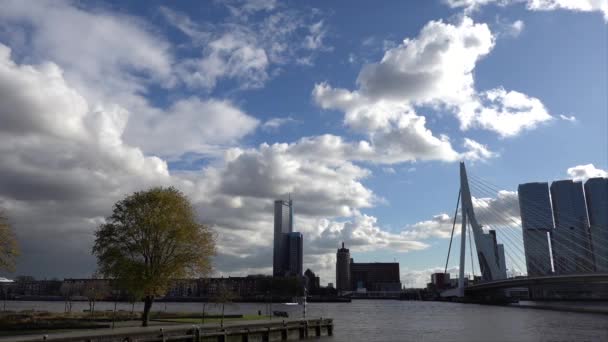 Rotterdam Nizozemsko Pohled Most Erasmus Slunečného Podzimního Dne — Stock video