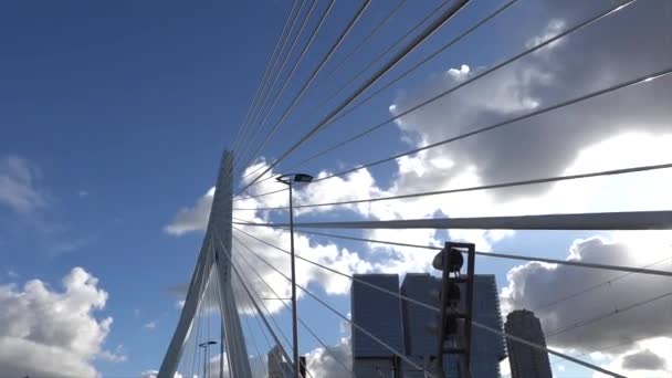 Rotterdam Holandia Widok Most Erasmus Słoneczny Jesienny Dzień — Wideo stockowe