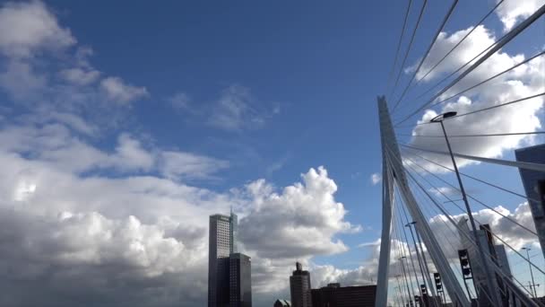 Роттердам Нідерланди Вид Міст Еразма Сонячний Осінній День — стокове відео