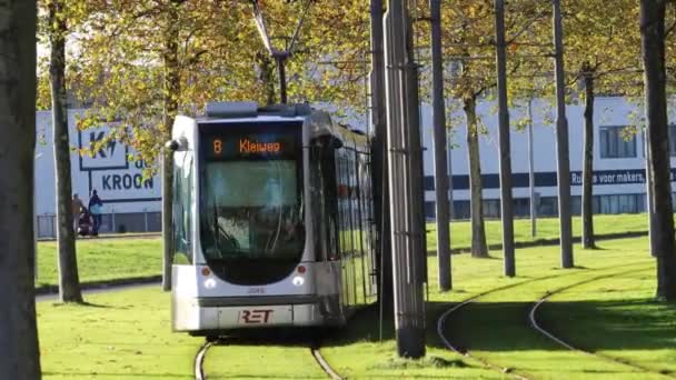 Rotterdam Nederländerna Offentlig Spårvagn Gröna Gräsbevuxna Spår — Stockvideo