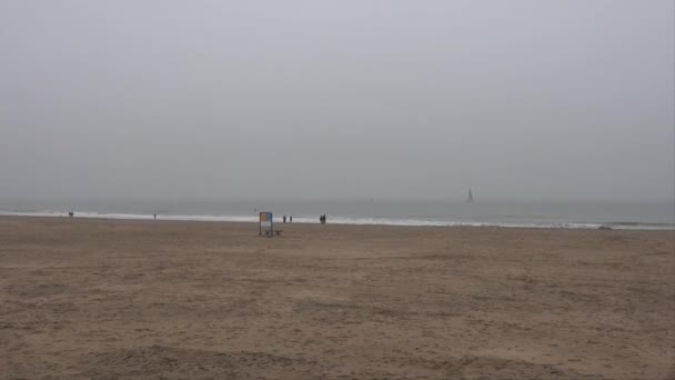 Aia Paesi Bassi Veduta Della Spiaggia Scheveningen Una Nebbiosa Giornata — Video Stock