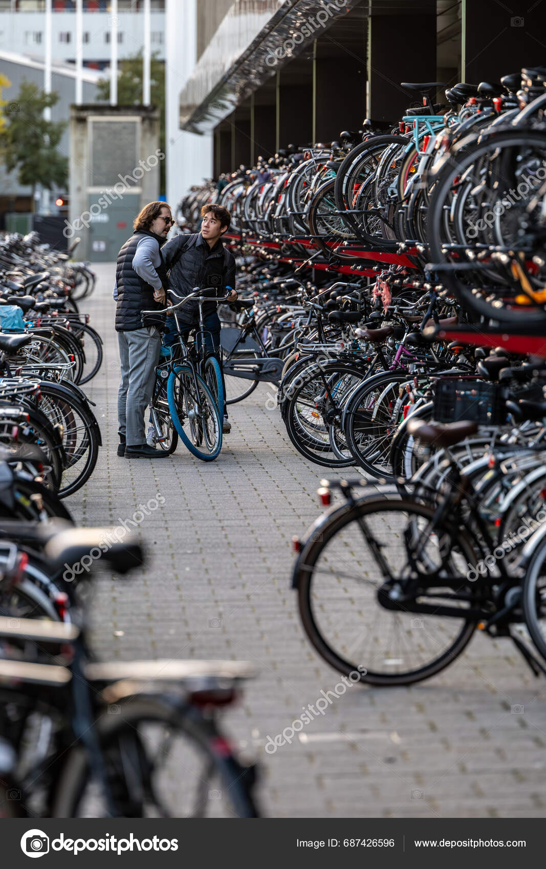 Rotterdam Netherlands Nov 2023 Person Finds Bivyle Rows Bicycles Parked