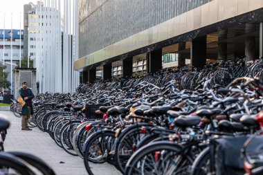 Rotterdam, Hollanda, 11 Kasım 2023 Merkez İstasyonu 'nda park halindeki bisikletlerin arasında bir insan kendi bisikletini bulur..