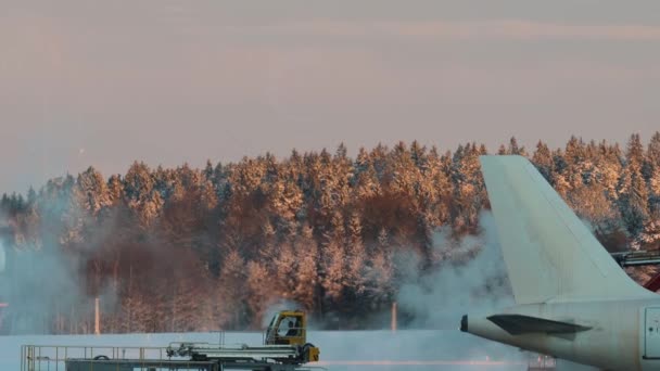 Stockholm Schweden Ein Flugzeug Auf Dem Gefrorenen Asphalt Des Flughafens — Stockvideo
