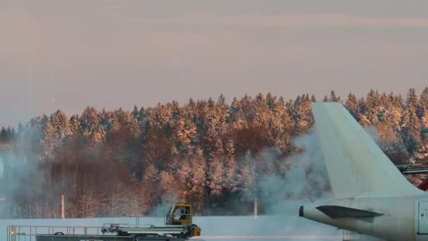 Stockholm Sveç Arlanda Havaalanı Nın Donmuş Pistinde Bir Uçak Buzdan — Stok video