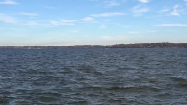 Леонардтаун Штат Мэриленд Река Потомак Вид Государственного Парка Ньютон Нек — стоковое видео