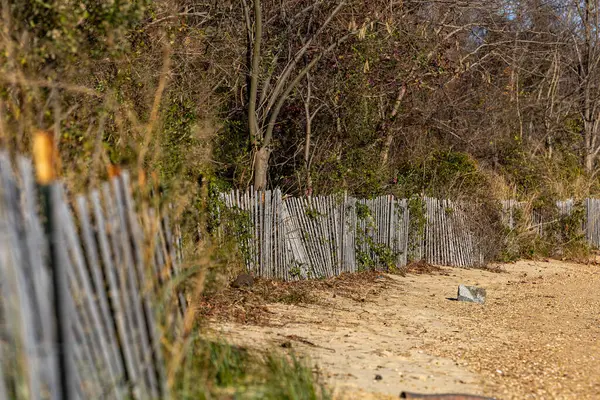 Leonardtown, Maryland, ABD Newtowne Neck Eyalet Parkı 'ndaki Potomac Nehri ve Chesapeake Körfezi' nde küçük bir sahil manzarası.