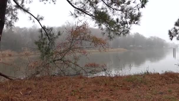 Broomes Adası Maryland Abd Sisli Bir Kış Gününde Patuxent Nehri — Stok video