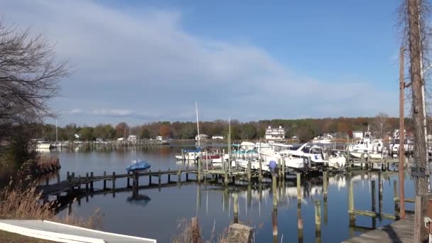 Cobb Island Maryland Usa Egy Kis Kikötő Csónakokkal Potomac Folyón — Stock videók