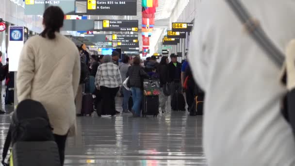 Washington Usa Passenger Departure Hall Dulles International Airport — Stock Video