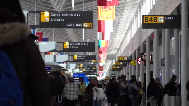 Washington Usa Pasajero Sala Embarque Del Aeropuerto Internacional Dulles — Vídeos de Stock