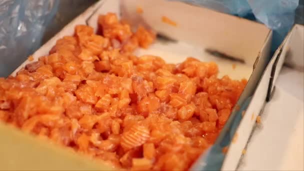 瑞典斯德哥尔摩一家餐馆的一个盒子里堆满了切碎的鲑鱼 用来做波克碗 — 图库视频影像