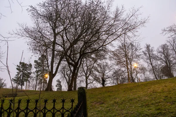 Stockholm, İsveç 20 Aralık 2023 Sabahın erken saatlerinde Kronobergspark 'ta köpeğini gezdiren insanlar.
