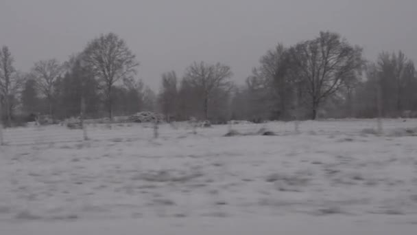 ジョンコピング スウェーデン 冬に移動車から吹雪風景 — ストック動画