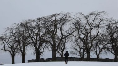 Stockholm, İsveç. Genç bir adam, Unesco Dünya Mirası 'na ait Skogskyrkogarden' daki Woodlawn Mezarlığı 'nda karda yürüyor.. 
