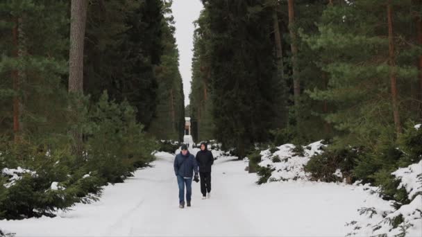 Stockholm Suède Père Son Fils Traversent Cimetière Woodland Site Patrimoine — Video
