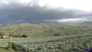 Sciara, Sicilya, İtalya Sicilya Yeşil tarıma elverişli tepeler ve Sicilya 'nın manzaralı ve bulutlu tarım arazileri. 