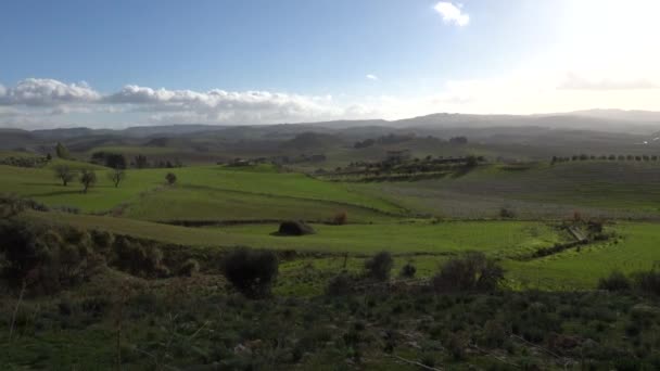 パレルモ シチリア イタリア ローリンググリーン丘とパレルモの外のフィールド — ストック動画