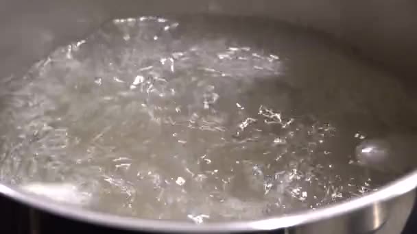 Koka Pasta Vatten Induktionsspishäll — Stockvideo