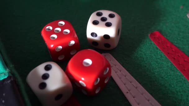 Dados Tablero Backgammon — Vídeo de stock
