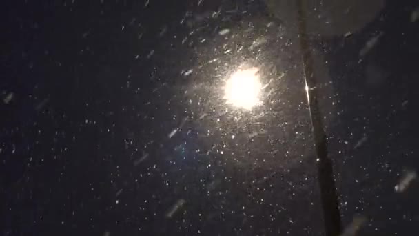 瑞典斯德哥尔摩暴风雪中的一个灯柱 — 图库视频影像