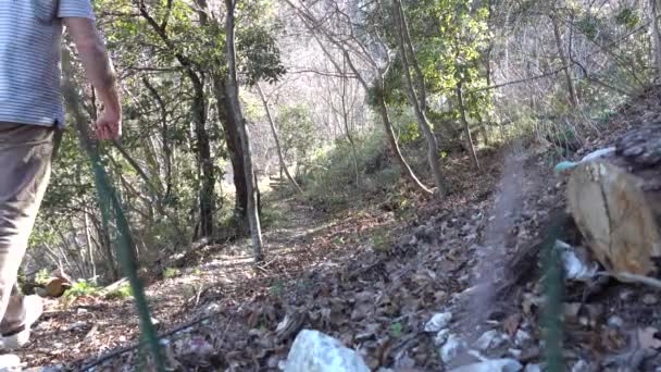 Gole San Venanzio Raiano Italy Man Hikes Wooded Path Canyon — Stock Video