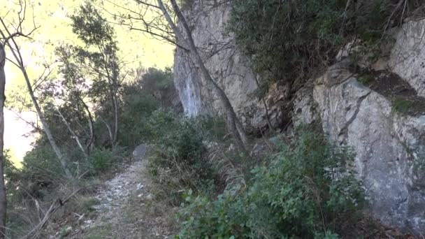 ゴールディ サンヴェンツィオ ライアノ イタリア 男は古代ローマの水道と一緒に峡谷の木造の道をハイキング — ストック動画
