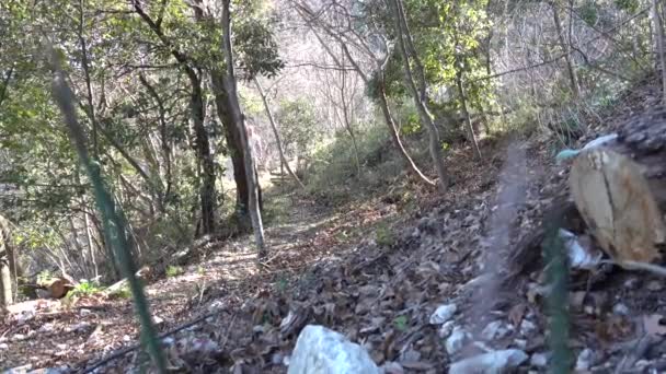 Gole San Venanzio Raiano Italy Man Hikes Wooded Path Canyon — Stock Video