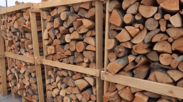 Celano Italy Piles Stacked Chopped Firewood Sale — Stock Video