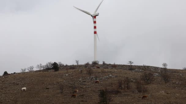 Goriano Sicoli 意大利风力涡轮机在山顶上旋转 — 图库视频影像