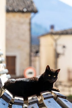 İtalya 'da, Castel di Ieri' de bir bankta oturan siyah bir kedi.