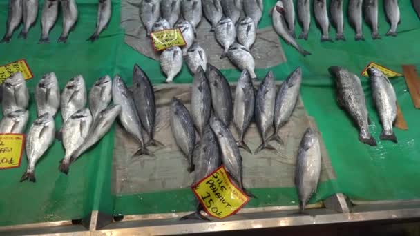 이스탄불 카라코이 지역의 갈라타 물고기 시장에서 판매하는 신선한 물고기 — 비디오