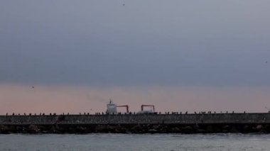 İstanbul, Türkiye Boğazı 'nda rüzgarlı bir günde martılarla dalgalı bir su ve kargo gemisi profili. 