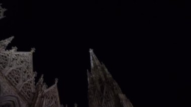 Viyana, Avusturya St. Stephen Katedrali 'nin gece manzarası.
