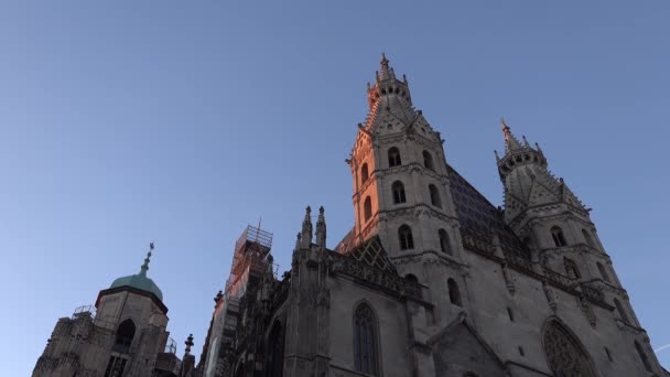 Vienna Austria Panning View Stephen Cathedral — Stock Video