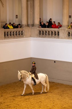 Viyana, Avusturya 5 Nisan 2024 İspanyol Binicilik Okulu 'nda bir at binicisi..