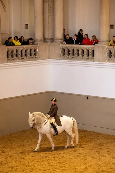 stock image Vienna, Austria April 5, 2024 A horse rider at the Spanish Riding School.
