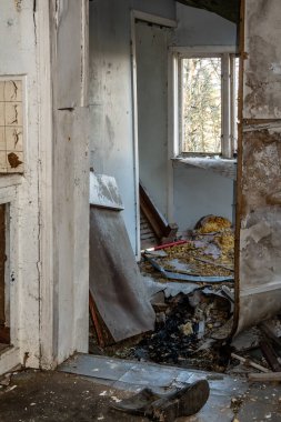 Stockholm, İsveç Ormanda terk edilmiş ve dökülen bir ahşap kulübe.